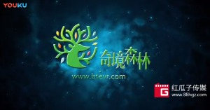 紅瓜子文化傳媒-奇鏡森林企業(yè)動(dòng)畫(huà)宣傳片